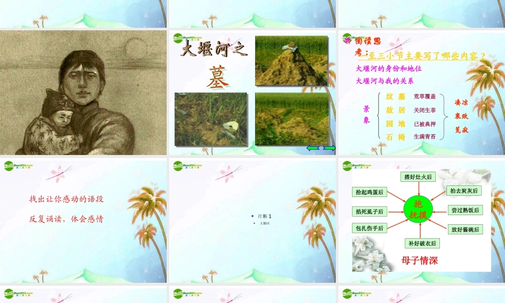 八年级语文下册 第二单元第5课 (大堰河—我的保姆)课件 语文版 课件