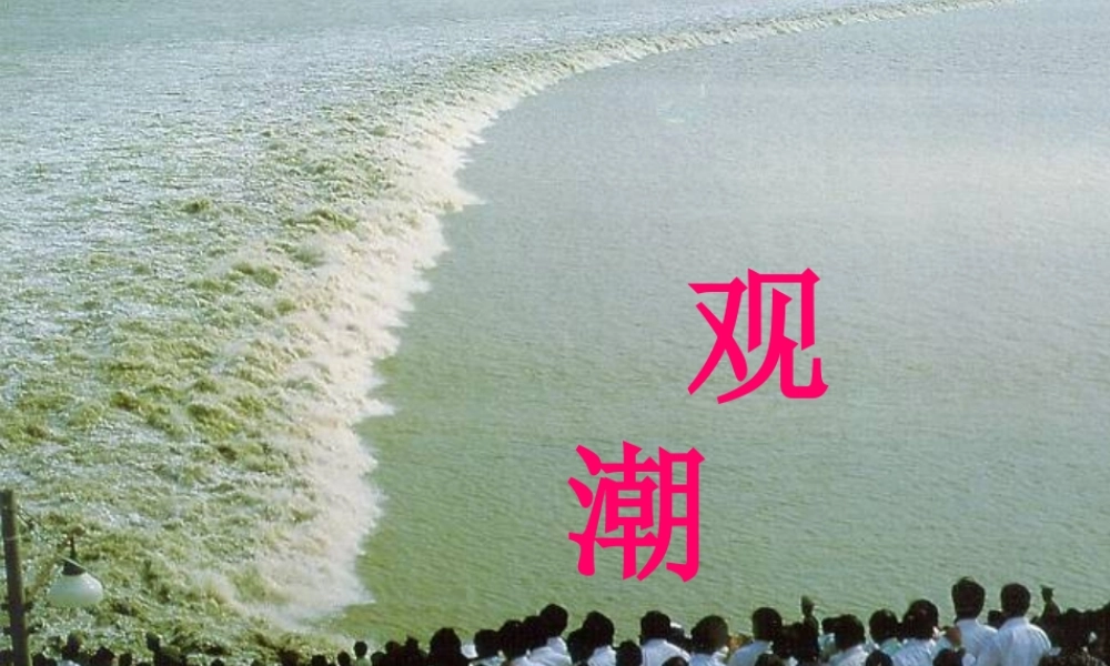 七年级语文观潮 人教版 课件