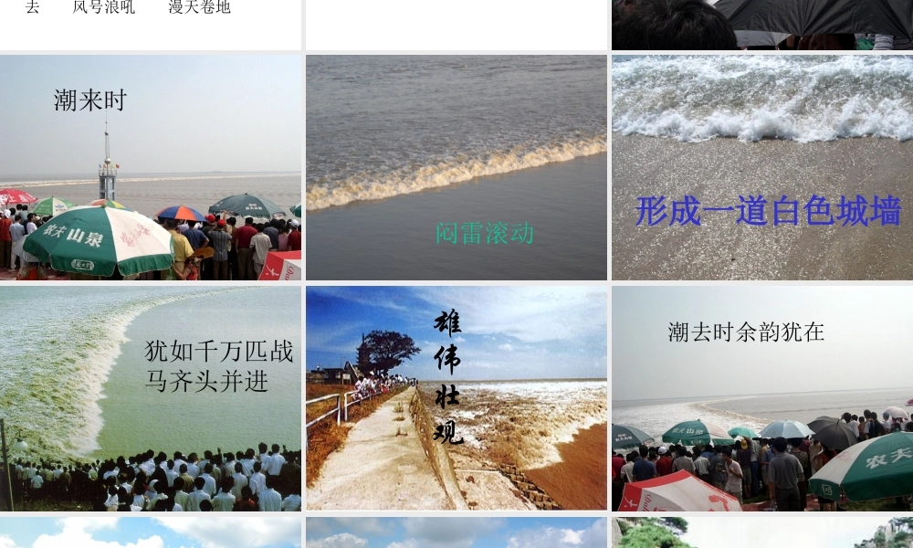 七年级语文观潮 人教版 课件