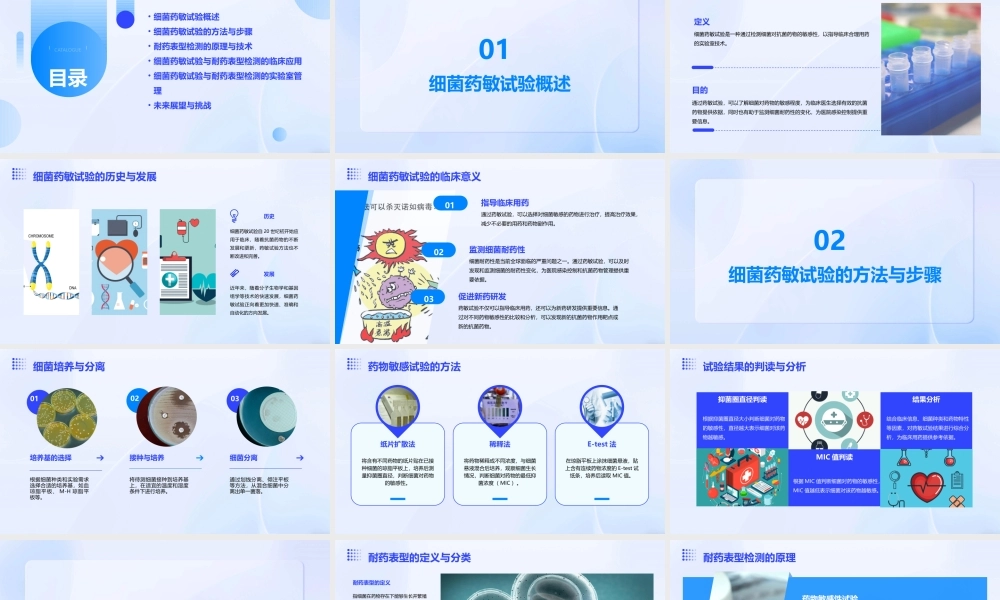 细菌药敏试验及其耐药表型检测文档资料课件