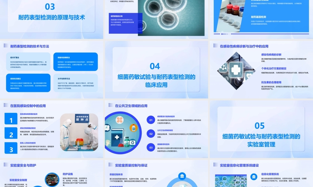 细菌药敏试验及其耐药表型检测文档资料课件