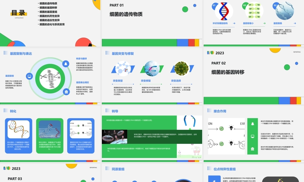 细菌的遗传与变异