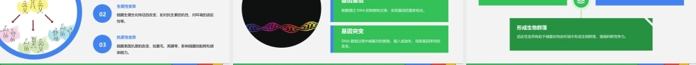 细菌的遗传与变异