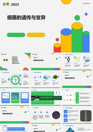 细菌的遗传与变异