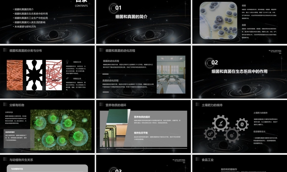 细菌和真菌在自然界中的作用演示文件课件