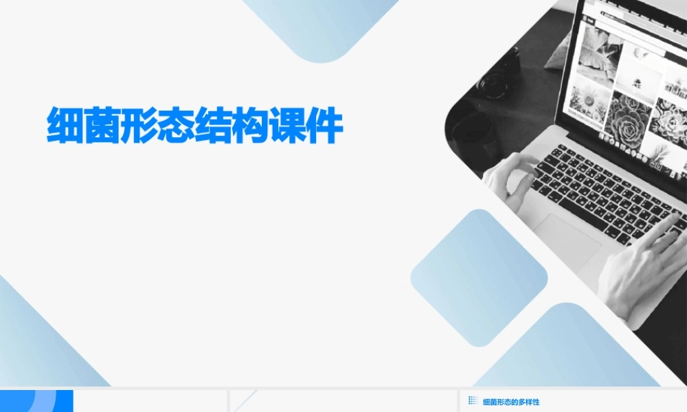 细菌形态结构课件