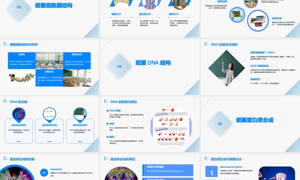 细菌形态结构课件