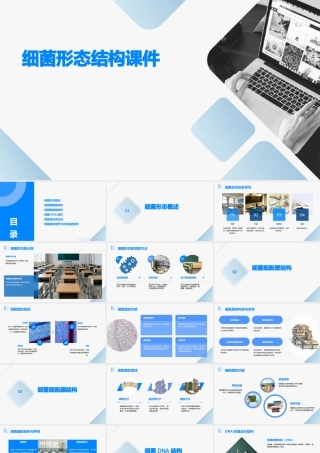细菌形态结构课件
