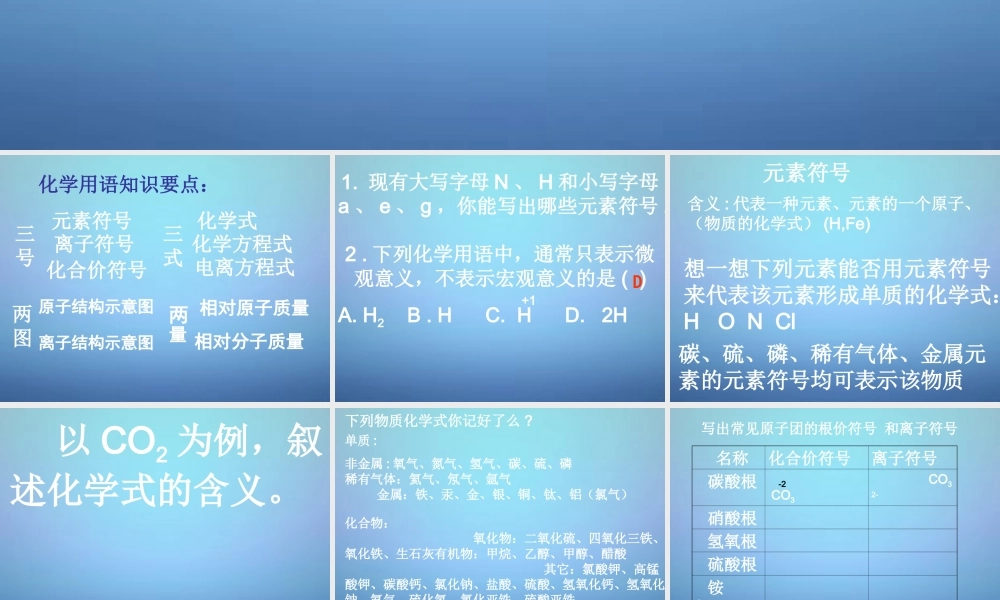 中考化学总复习 化学用语课件 沪教版 课件