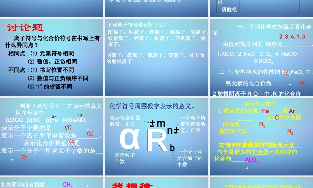 中考化学总复习 化学用语课件 沪教版 课件