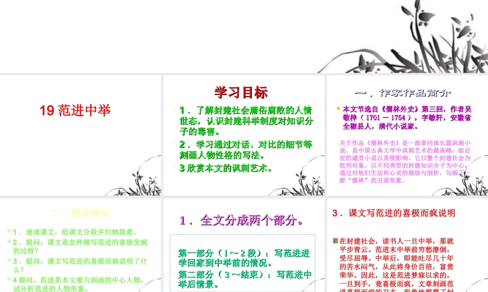 九年级语文上册(范进中举)课件2 人教新课标版 课件