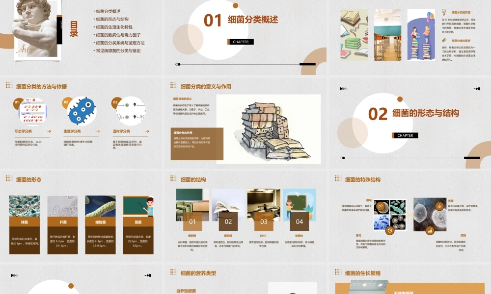 细菌分类与鉴定课件