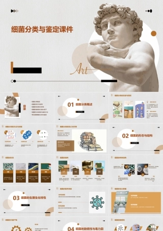 细菌分类与鉴定课件