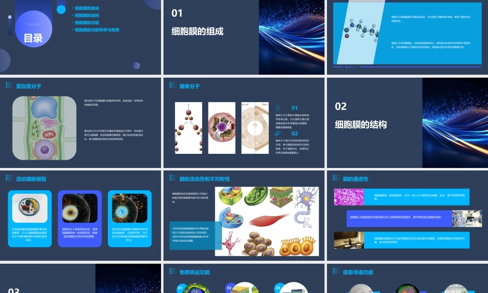 细胞膜的功能课件