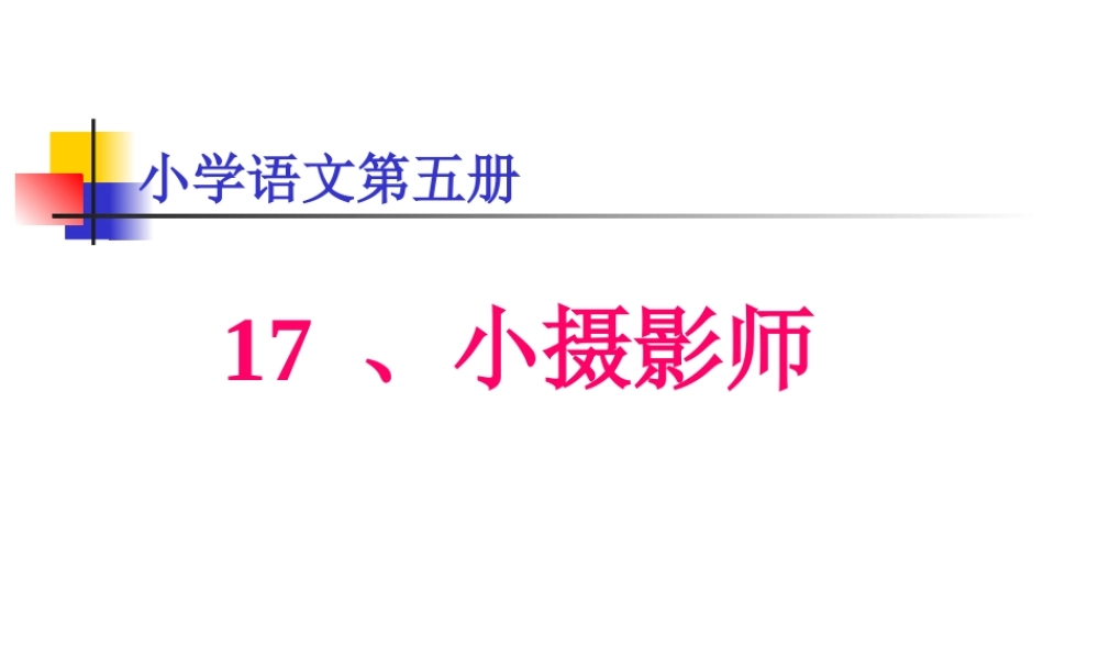 小学三年级上册语文第三课小摄影师PPT课件2