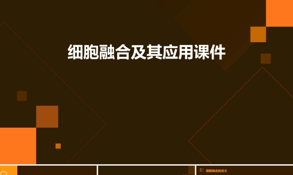 细胞融合及其应用课件