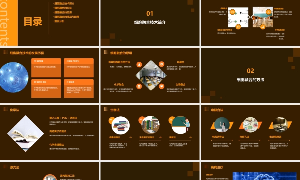 细胞融合及其应用课件