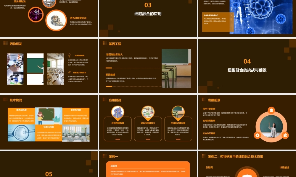 细胞融合及其应用课件