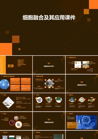 细胞融合及其应用课件