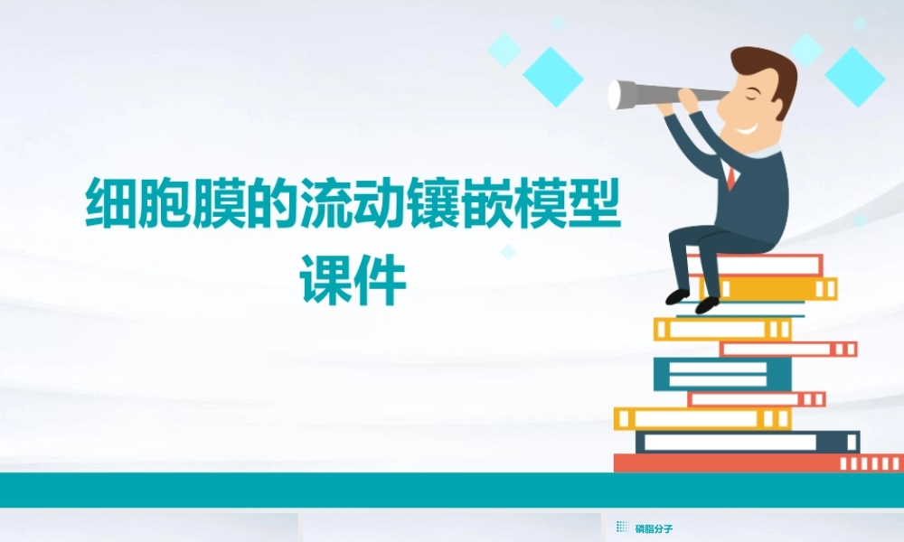 细胞膜的流动镶嵌模型课件