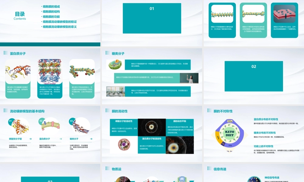 细胞膜的流动镶嵌模型课件