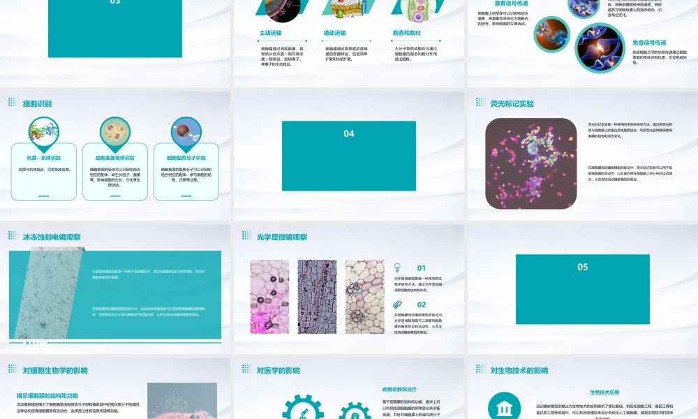 细胞膜的流动镶嵌模型课件