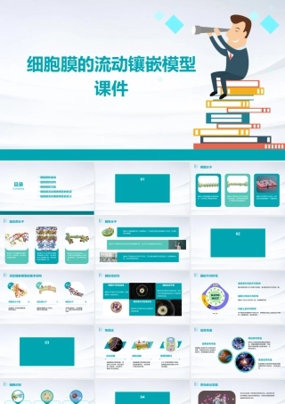 细胞膜的流动镶嵌模型课件