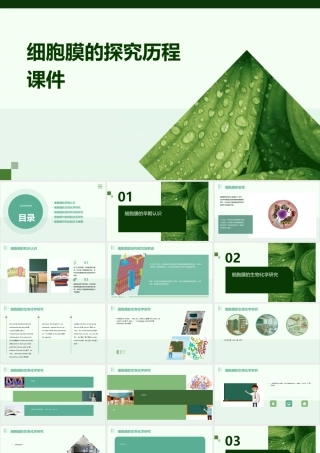 细胞膜的探究历程课件