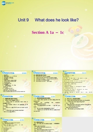 七年级英语下册 Unit 9 What does he look like Section A 1a－1c(预习导航+堂堂清+日日清)课件 (新版)人教新目标版 课件