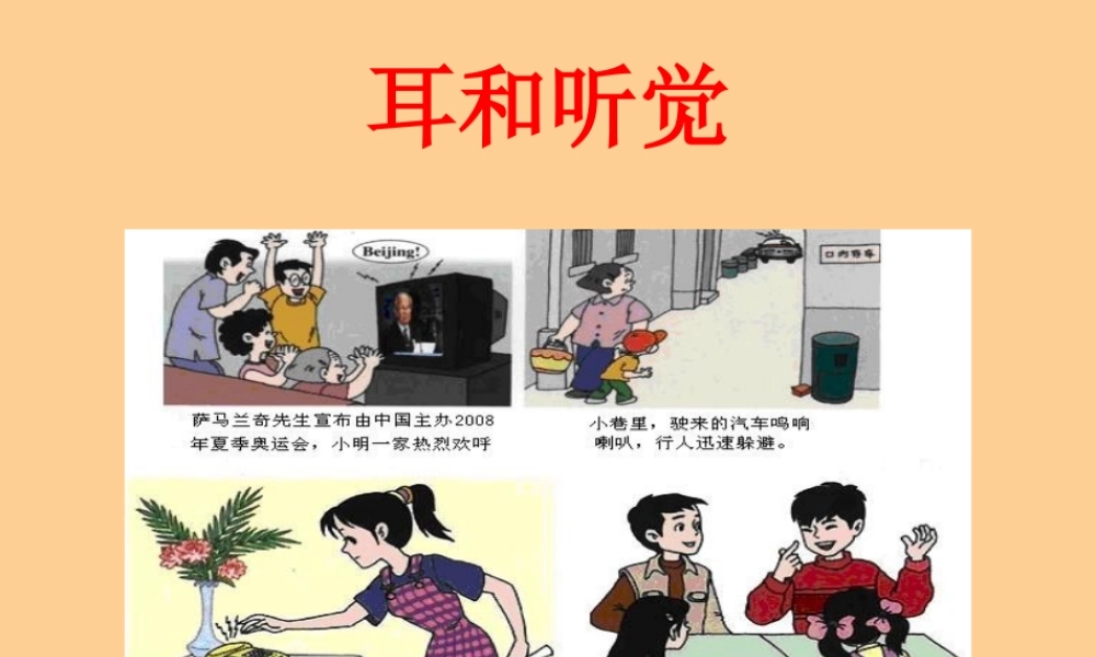 七年级生物下册 6.1人体对外界环境的感知-耳与听觉课件 人教新课标版 课件