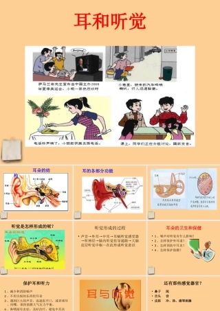七年级生物下册 6.1人体对外界环境的感知-耳与听觉课件 人教新课标版 课件