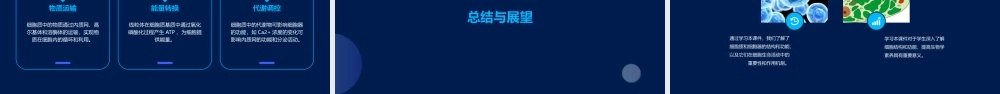 细胞质和细胞器细胞核课件