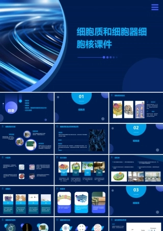 细胞质和细胞器细胞核课件