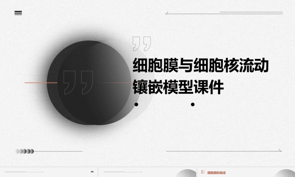 细胞膜与细胞核流动镶嵌模型课件