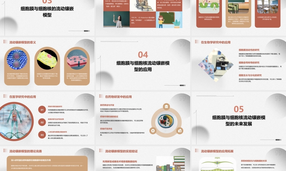 细胞膜与细胞核流动镶嵌模型课件