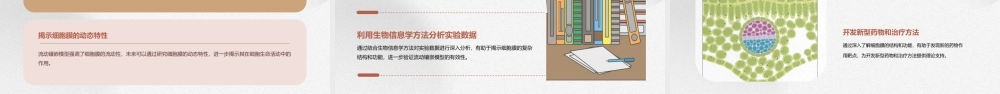 细胞膜与细胞核流动镶嵌模型课件