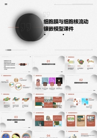 细胞膜与细胞核流动镶嵌模型课件