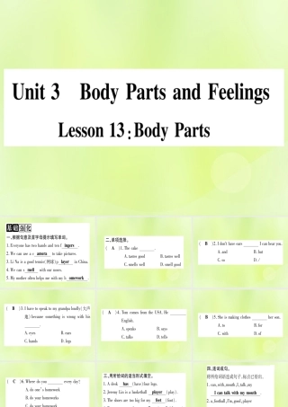 七年级英语上册 Unit 3 Body Parts and Feelings Lesson 13 Body Parts课件 (新版)冀教版 课件