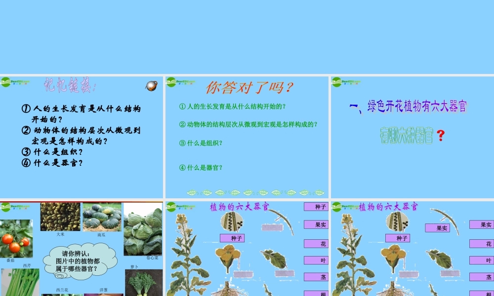 七年级生物上册 多细胞生物体的结构层次第一课时课件 济南版 课件