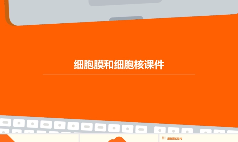 细胞膜和细胞核课件