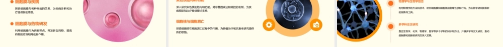 细胞膜和细胞核课件
