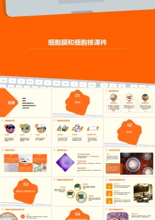 细胞膜和细胞核课件
