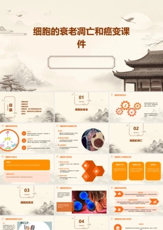 细胞的衰老凋亡和癌变课件