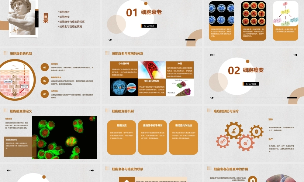 细胞的衰老癌变课件