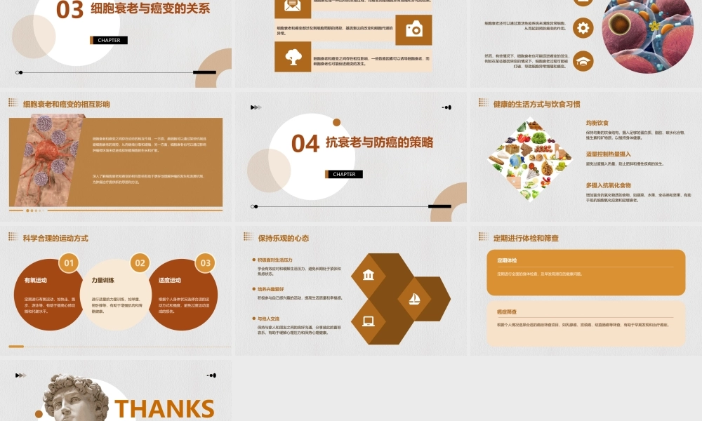 细胞的衰老癌变课件