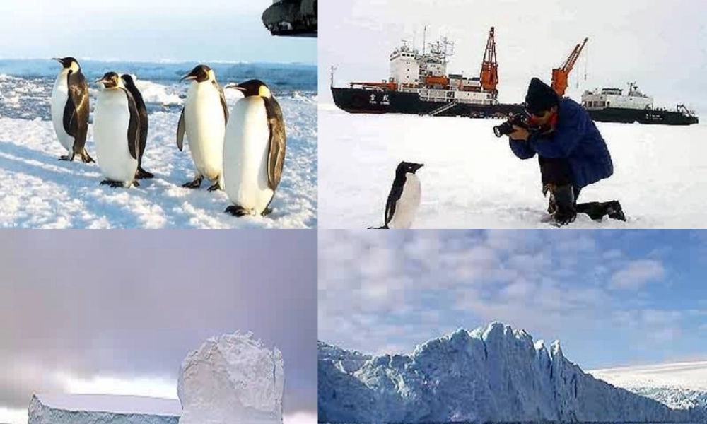 中学七年级语文下册(伟大的悲剧)课件 新人教版 课件