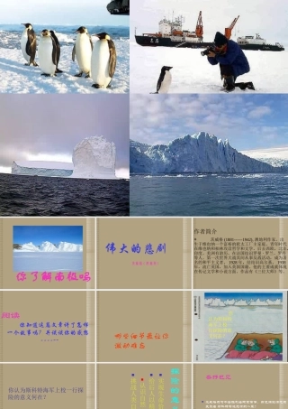 中学七年级语文下册(伟大的悲剧)课件 新人教版 课件