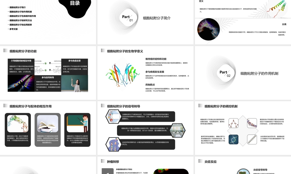细胞粘附分子课件