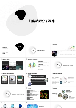 细胞粘附分子课件