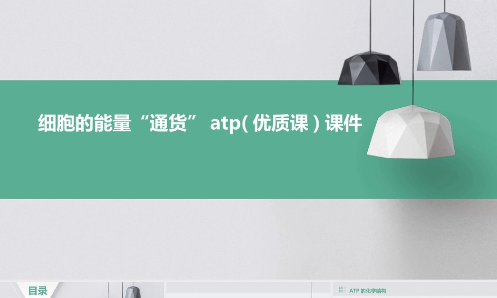 细胞的能量“通货”ATP(优质课)课件